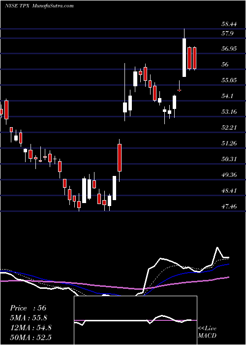  Daily chart TempurSealy