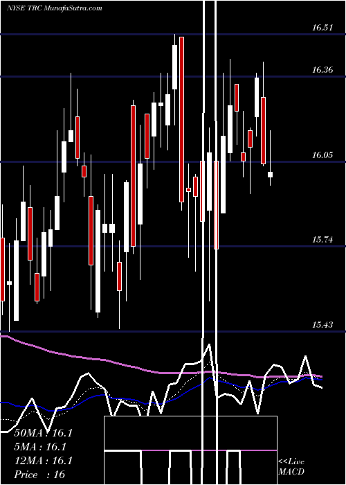  Daily chart Tejon Ranch Co