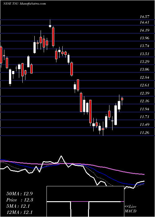  Daily chart TIM Participacoes S.A.
