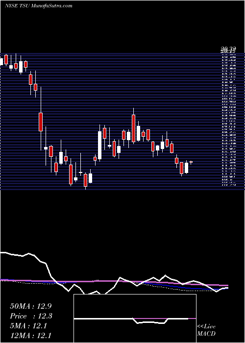  weekly chart TimParticipacoes