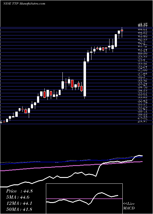  weekly chart TortoisePipeline