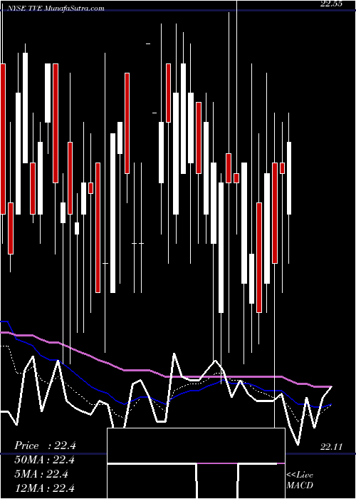  Daily chart TennesseeValley