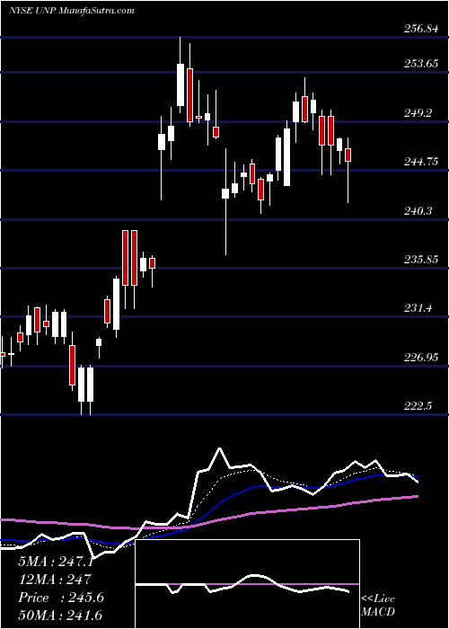  Daily chart UnionPacific