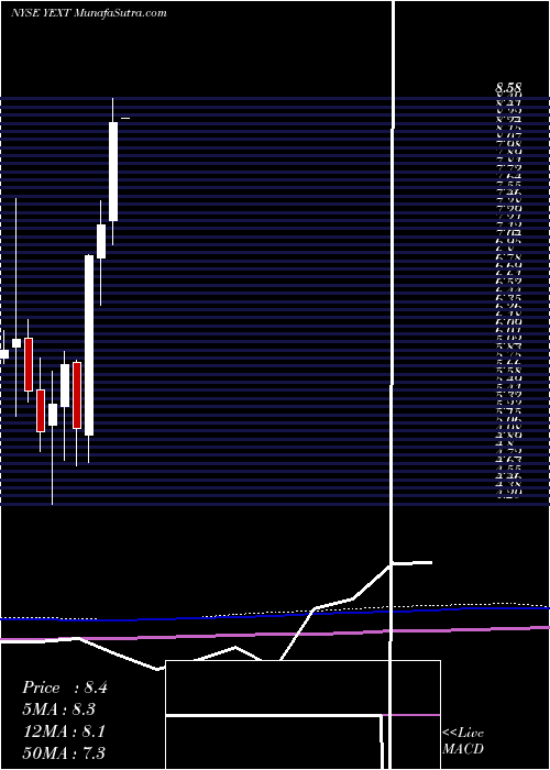  monthly chart YextInc