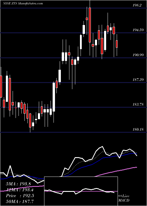  Daily chart ZoetisInc