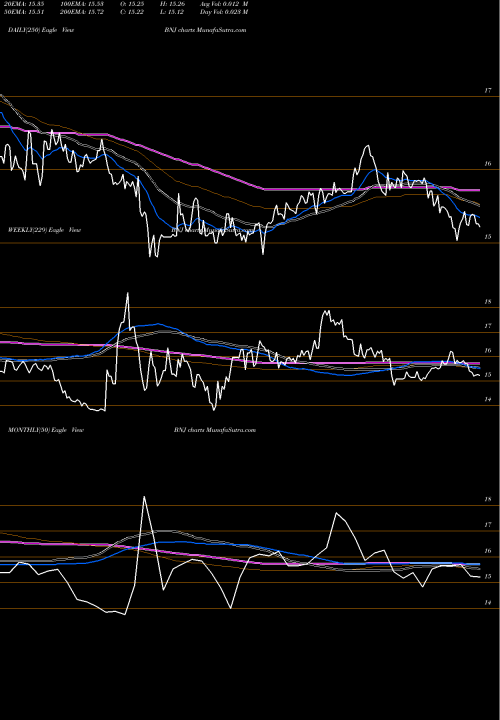 Trend of Blackrock New BNJ TrendLines Blackrock New Jersey Muni Income Trust BNJ share NYSE Stock Exchange 