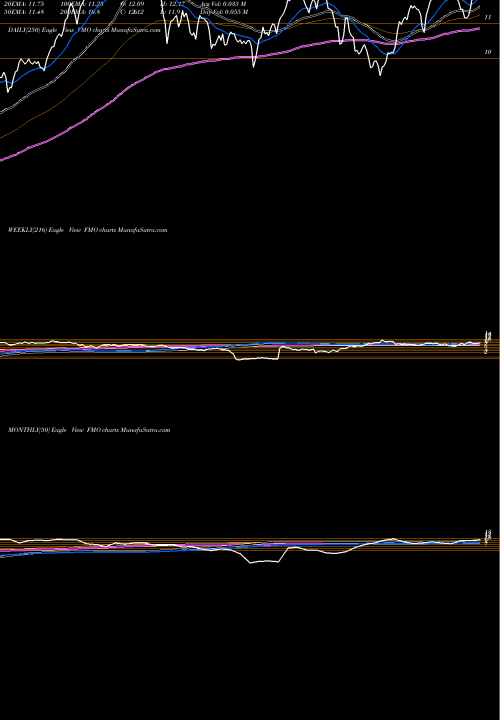 Trend of Fiduciary Claymore FMO TrendLines Fiduciary/Claymore Energy Infrastructure Fund FMO share NYSE Stock Exchange 
