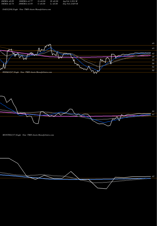 Trend of Team Health TMH TrendLines Team Health Holdings TMH share NYSE Stock Exchange 