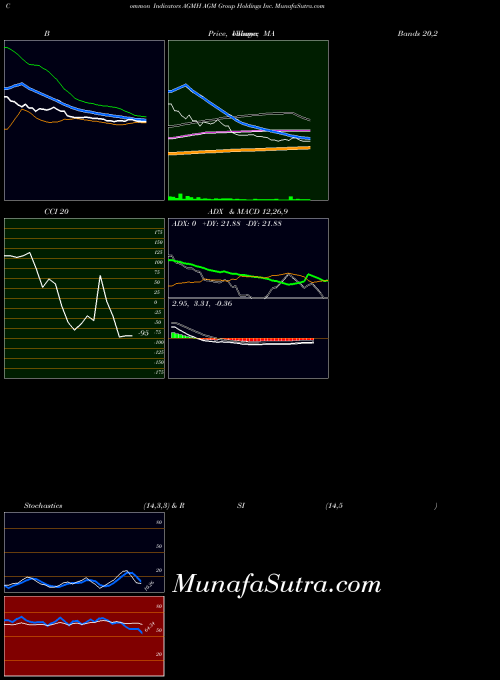 Agm Group indicators chart 