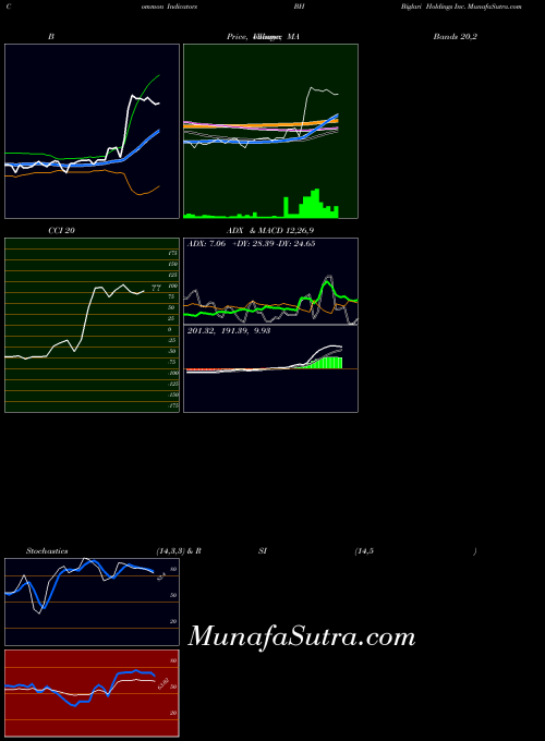 Biglari Holdings indicators chart 