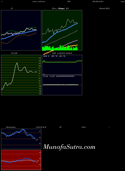 Blackrock Municipal indicators chart 