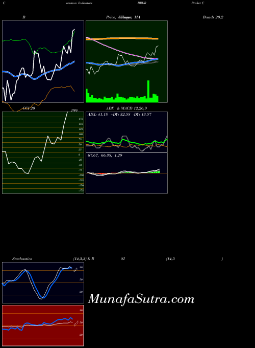 Bruker Corporation indicators chart 