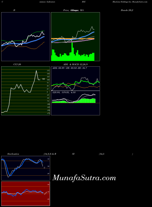 Bluelinx Holdings indicators chart 