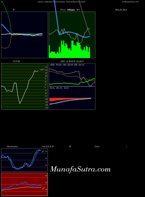 USA Canadian Natural Resources Limited CNQ RSI indicator, Canadian Natural Resources Limited CNQ indicators RSI technical analysis, Canadian Natural Resources Limited CNQ indicators RSI free charts, Canadian Natural Resources Limited CNQ indicators RSI historical values USA