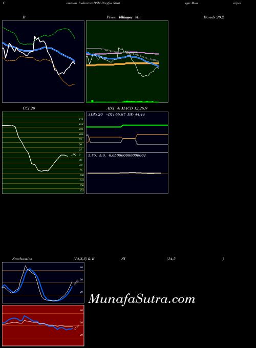 Dreyfus Strategic indicators chart 