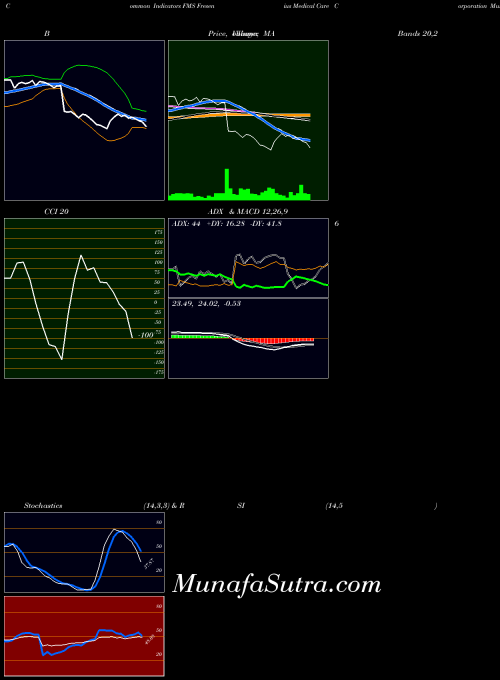 Fresenius Medical indicators chart 