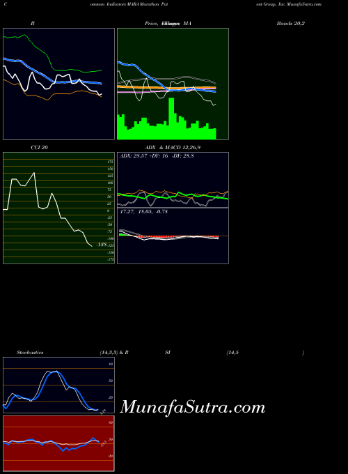 Marathon Patent indicators chart 