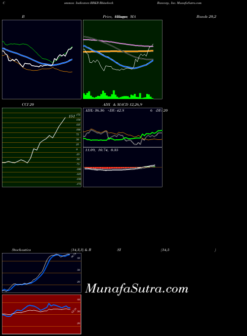 Rhinebeck Bancorp indicators chart 