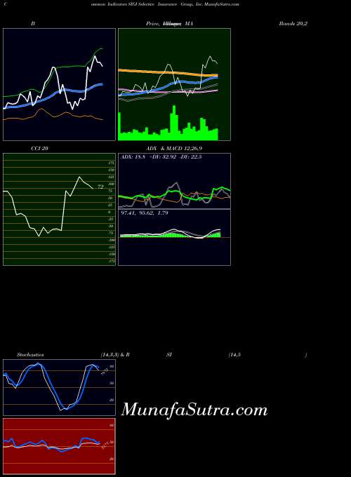 Selective Insurance indicators chart 