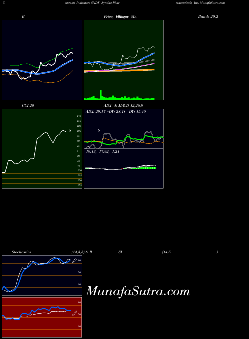 Syndax Pharmaceuticals indicators chart 