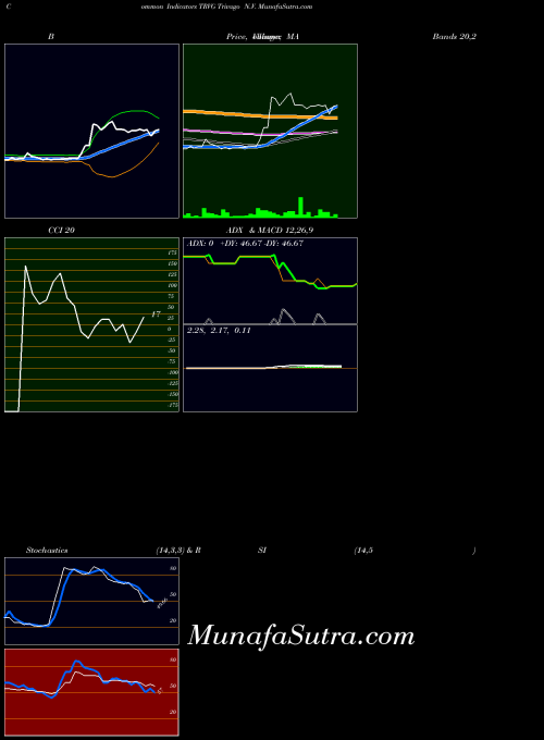 Trivago N indicators chart 