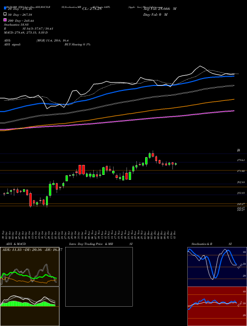 Apple Inc. AAPL Support Resistance charts Apple Inc. AAPL USA
