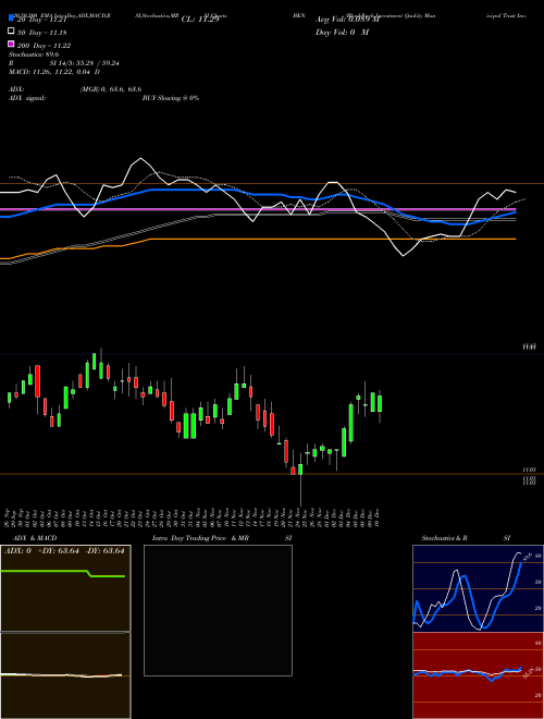 BlackRock Investment Quality Municipal Trust Inc. (The) BKN Support Resistance charts BlackRock Investment Quality Municipal Trust Inc. (The) BKN USA