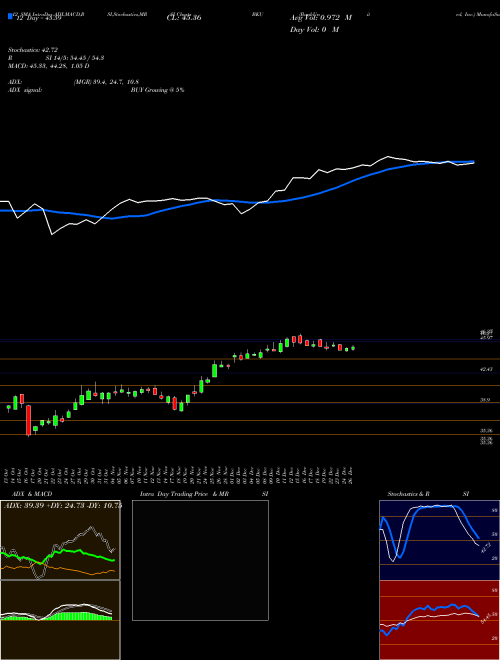 Chart Bankunited Inc (BKU)  Technical (Analysis) Reports Bankunited Inc [