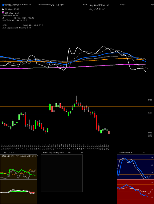 First Busey Corporation BUSE Support Resistance charts First Busey Corporation BUSE USA