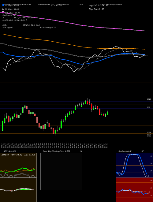 TCG BDC, Inc. CGBD Support Resistance charts TCG BDC, Inc. CGBD USA