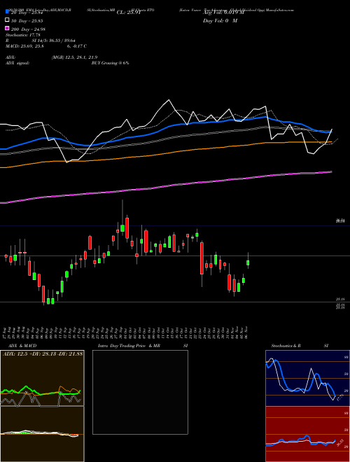 Eaton Vance Tax-Advantage Global Dividend Opp ETO Support Resistance charts Eaton Vance Tax-Advantage Global Dividend Opp ETO USA