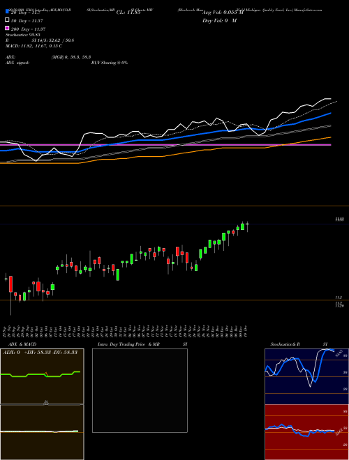 Blackrock MuniYield Michigan Quality Fund, Inc. MIY Support Resistance charts Blackrock MuniYield Michigan Quality Fund, Inc. MIY USA