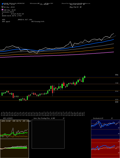 Natural Gas Services Group, Inc. NGS Support Resistance charts Natural Gas Services Group, Inc. NGS USA