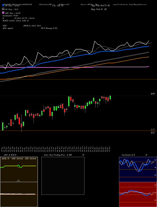 Nuveen AMT-Free Municipal Credit Income Fund NVG Support Resistance charts Nuveen AMT-Free Municipal Credit Income Fund NVG USA