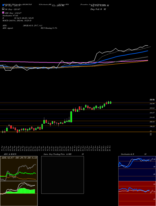 Penumbra, Inc. PEN Support Resistance charts Penumbra, Inc. PEN USA