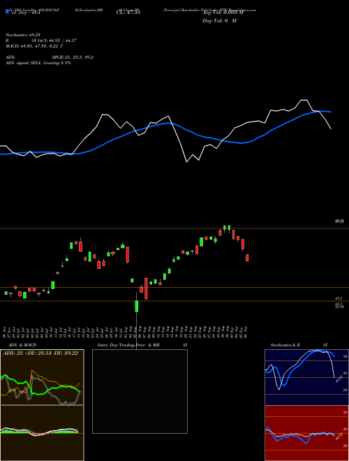 Chart Principal Shareholder (PY)  Technical (Analysis) Reports Principal Shareholder [