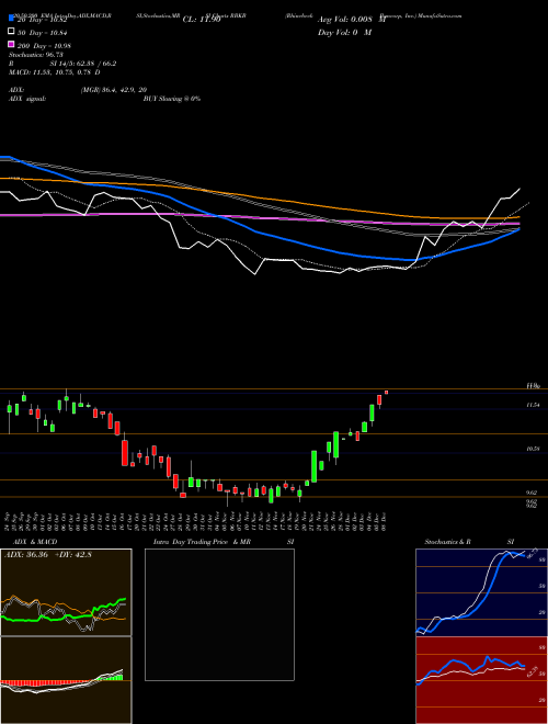 Rhinebeck Bancorp, Inc. RBKB Support Resistance charts Rhinebeck Bancorp, Inc. RBKB USA
