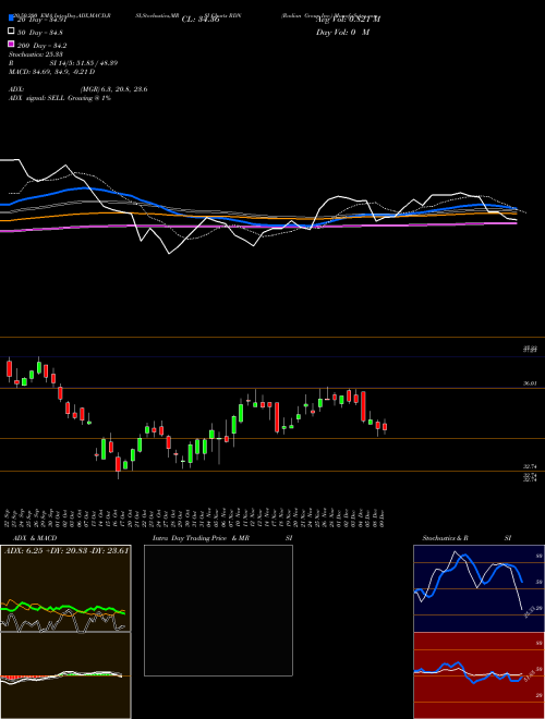 Radian Group Inc. RDN Support Resistance charts Radian Group Inc. RDN USA