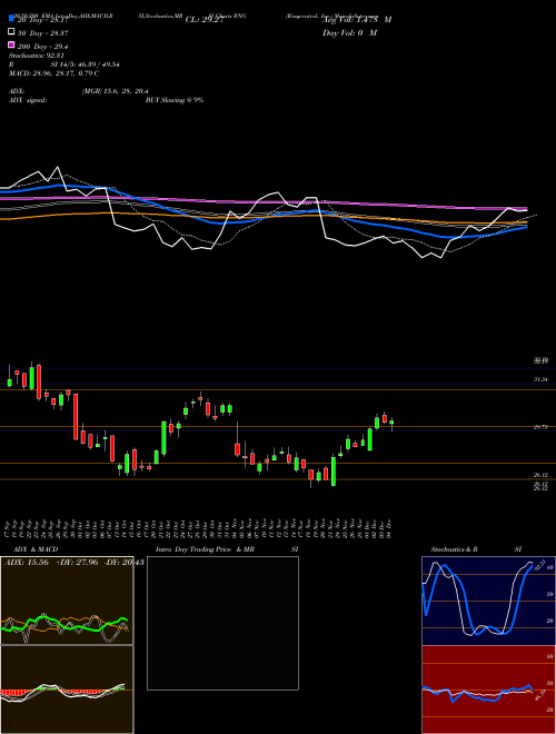 Ringcentral, Inc. RNG Support Resistance charts Ringcentral, Inc. RNG USA