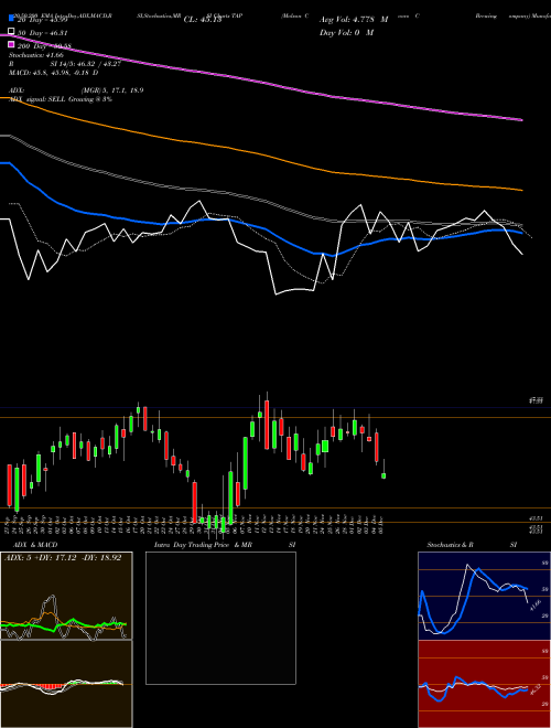 Molson Coors Brewing  Company TAP Support Resistance charts Molson Coors Brewing  Company TAP USA