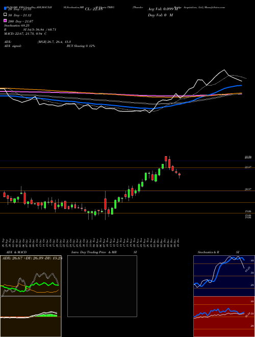 Thunder Bridge Acquisition, Ltd. TBRG Support Resistance charts Thunder Bridge Acquisition, Ltd. TBRG USA