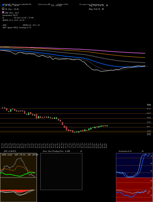 Tecnoglass Inc. TGLS Support Resistance charts Tecnoglass Inc. TGLS USA