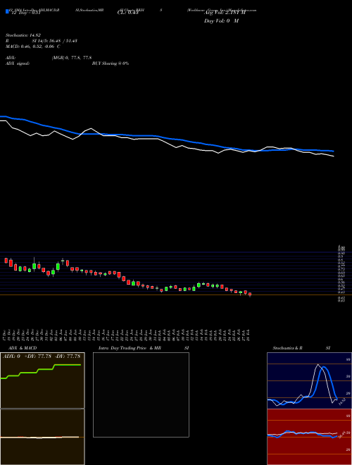 Chart Workhorse Group (WKHS)  Technical (Analysis) Reports Workhorse Group [