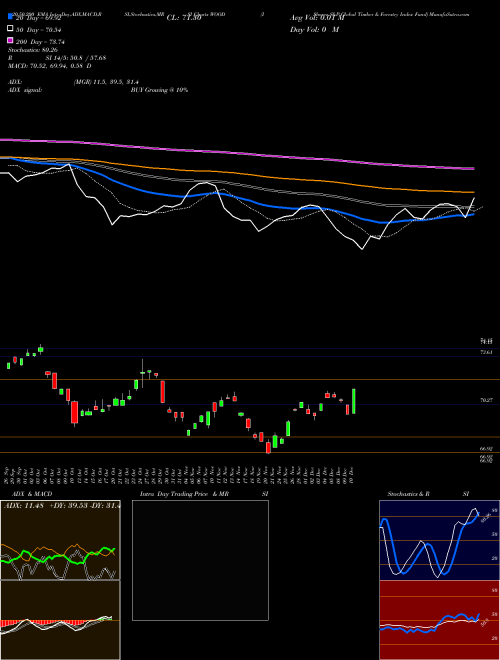 IShares S&P Global Timber & Forestry Index Fund WOOD Support Resistance charts IShares S&P Global Timber & Forestry Index Fund WOOD USA