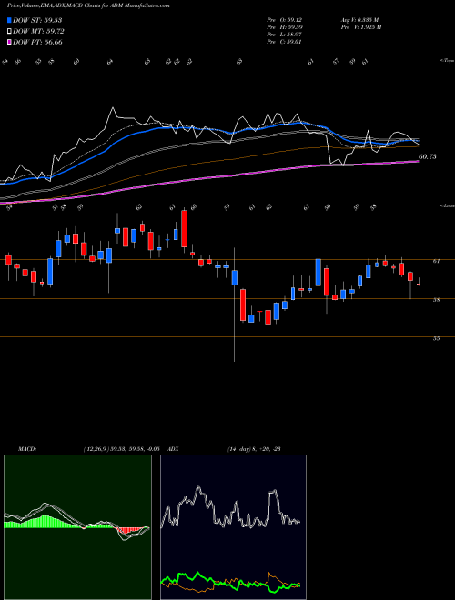 MACD charts various settings share ADM Archer-Daniels-Midland Company USA Stock exchange 