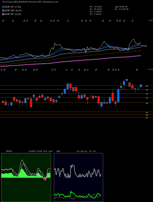 Munafa  (AVGX) stock tips, volume analysis, indicator analysis [intraday, positional] for today and tomorrow