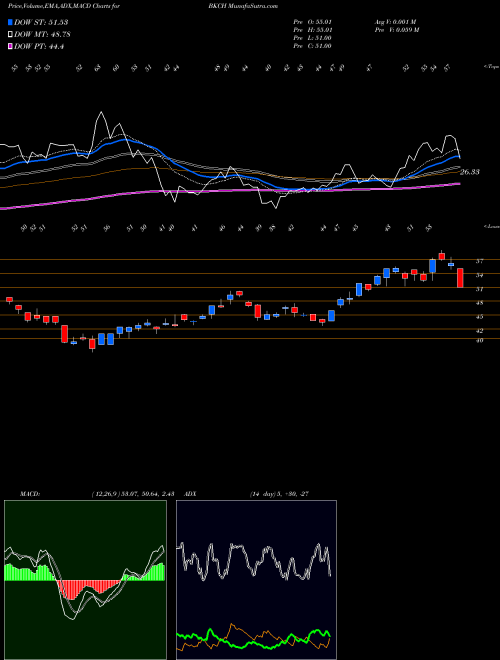 Munafa AdvisorShares Sabretooth ETF (BKCH) stock tips, volume analysis, indicator analysis [intraday, positional] for today and tomorrow