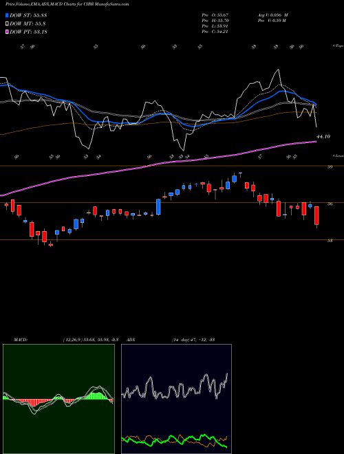 Munafa First Trust NASDAQ Cybersecurity ETF (CIBR) stock tips, volume analysis, indicator analysis [intraday, positional] for today and tomorrow