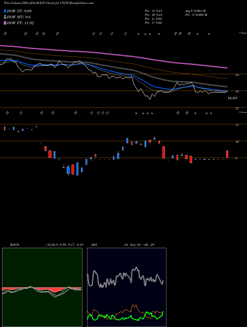 Munafa Loncar Cancer Immunotherapy ETF (CNCR) stock tips, volume analysis, indicator analysis [intraday, positional] for today and tomorrow