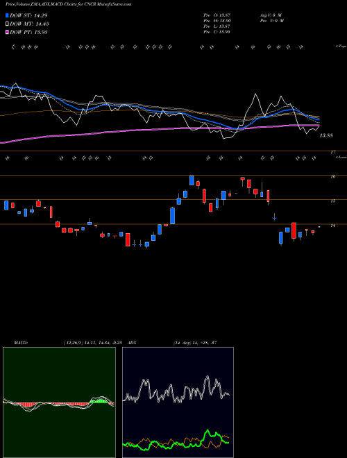 MACD charts various settings share CNCR Loncar Cancer Immunotherapy ETF USA Stock exchange 